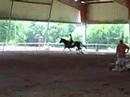 Me and Teague in Schooling Jumper at an El Gezira show. Critique if you want. :]]