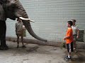 Elephant Encounter Jalowsky Anthony