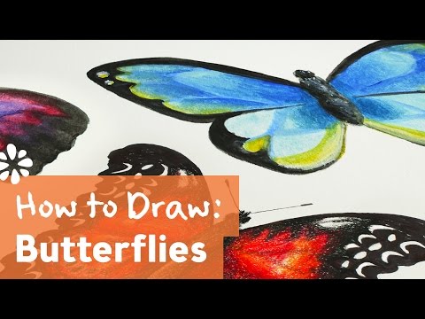 how to draw draw a butterfly