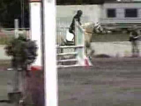 Jumping - Denmark's 65th Jubilee - ...