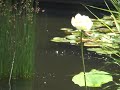 Panasonic SDR150 - SD Test 3