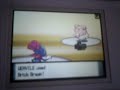 flashfox vs franko Pokemon Diamond Pearl Wifi Battle