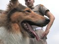 Traditions - Week 1 - Reveille