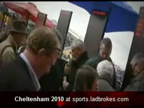 horse racing cheltenham