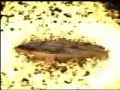 APA Titantron APA Titantron