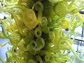 Chihuly at Corning Museum of Glass