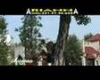 AriannA 1-2-3
