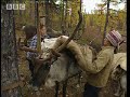 How to Build a Siberian Chum - Ray Mears World of Survival - BBC How to Build a Siberian Chum - Ray Mears World of Survival - BBC