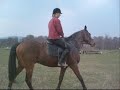 sama se delala