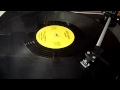 tschaka tonge - life is a festival