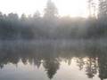 Morning-Mist