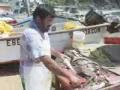 Conoce Caleta Horcon