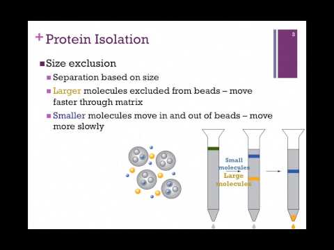 how to isolate protein from sds-page