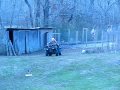 Buddy Deer 2