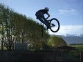 Quinn Nicholls, Moped Whips