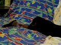 B�b� Rottweiler a peur d\