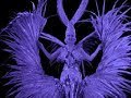 BBB & VJ billy levy -Bulgerian Chics full version BBB & VJ billy levy -Bulgerian Chics full version