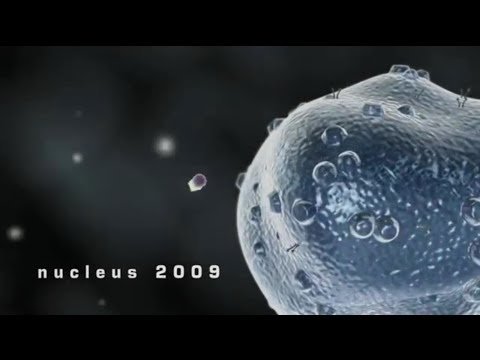 YouTube Preview Image