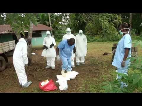 how to eliminate ebola