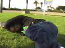 fresh bay sk8 dvd promo 1