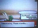 D/P Wi-Fi Battle UU/BL:Lestat D/P Wi-Fi Battle UU/BL:Lestat