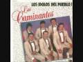 videos de los caminantes todavia puedo amar 0001