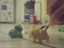 pokemon the lost tales - the 4th generation part 1