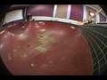 videos de Vintage Avenue Session With Riley Boland