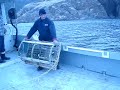 Cheticamp lobster fishing