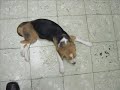 CASO CLINICO CASO CLINICO