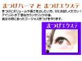 2008店舗紹介ムービー