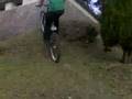 videos de public wallride in arrasate elge and yosu