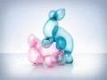 Durex zajączki balony