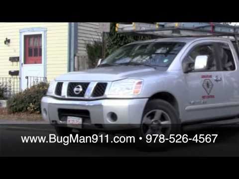 how to get rid of water bugs nyc