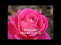 Mamãezinha – Aline Barros & Cia