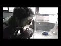 Communicating with a Box Jellyfish