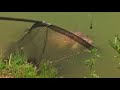 Angling Lines - Mas Bas