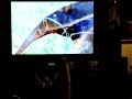 Carlino Vs. National Geographic
