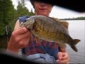 Bass Fishing In Bass Lake - Ontario canada - YouTube
