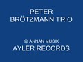 Peter Brötzmann