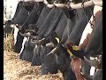 SELJAK I U NOVOJ GODINI RAČUNA NA SIROMAŠTVO