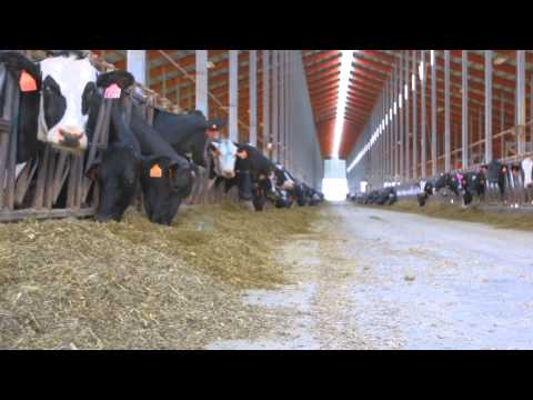 video-linktoworks-Improving Soil with Gypsum