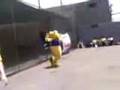 videos de La violacion de yogui???