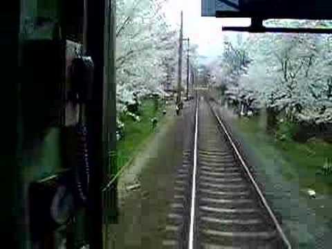 嵐電桜のトンネル2008（車内から）