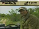 Sunrise drive 112807-14