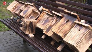 Mohelnická ptačí stezka