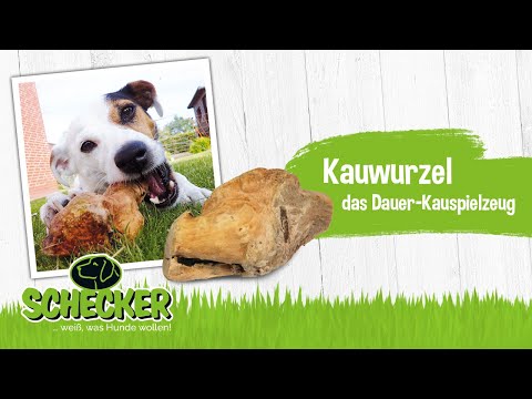 Die Kauwurzel - das neue Dauer-Kauspielzeug für Hunde.