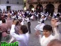 Dantzari ttiki eguna. alegia. Fandangoa