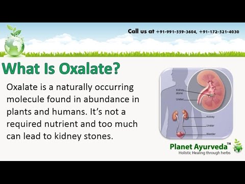 how to dissolve oxalate kidney stones