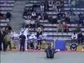videos de saltos mortales Capoeira - French Open 2002(mikel